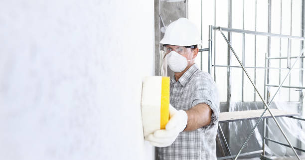 Mold Removal Services