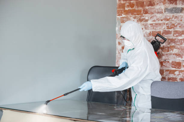 Best Mold Prevention Services  in Greenville, TX