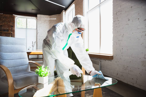 Reliable Greenville, TX Mold Removal Services Solutions